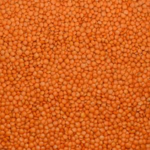Kırmızı Futbol Mercimek